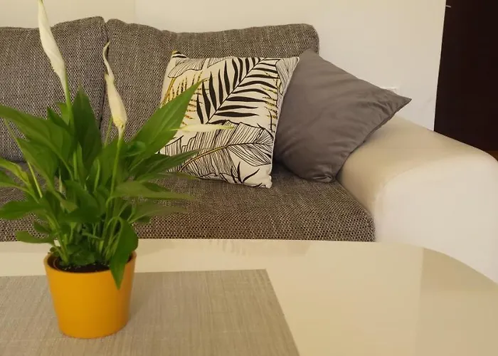 Petra Pekica 普拉